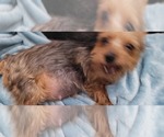 Small #348 Breeder Profile image