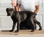 Small #5 Breeder Profile image