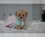 Small #11 Breeder Profile image