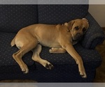 Small #14 Breeder Profile image