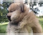 Small #2 Breeder Profile image