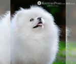Small #3 Breeder Profile image