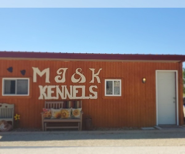 Medium Photo #1  Breeder Profile in ABILENE, KS, USA