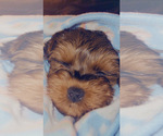 Small #3 Breeder Profile image