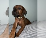 Small #34 Breeder Profile image