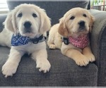 Small #11 Breeder Profile image