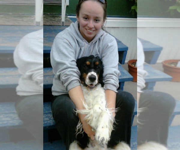 Medium Photo #1  Breeder Profile in NATURAL BRIDGE, VA, USA