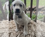Small #4 Breeder Profile image