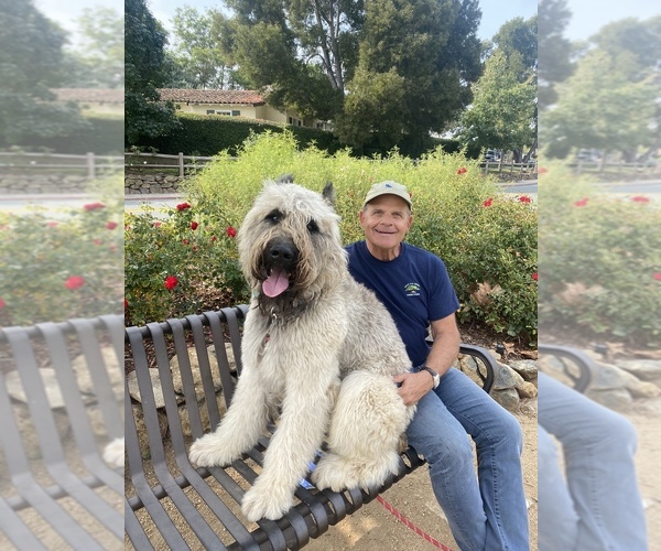 Medium Photo #13  Breeder Profile in HASTINGS, MI, USA