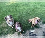 Small #14 Breeder Profile image
