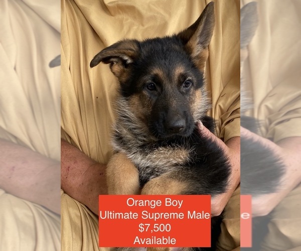 Medium Photo #1  Breeder Profile in COUPEVILLE, WA, USA