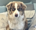 Small #1 Breeder Profile image