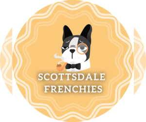 French Bulldog Dog Breeder in SCOTTSDALE,  USA