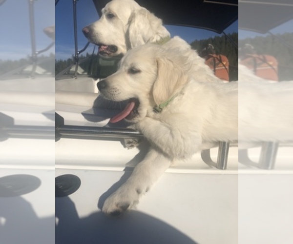Medium Photo #9  Breeder Profile in COLVILLE, WA, USA