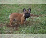Small #3 Breeder Profile image