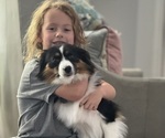 Small #29 Breeder Profile image