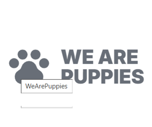 Medium Photo #1  Breeder Profile in PROVIDENCE, RI, USA