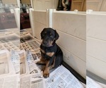 Small #19 Breeder Profile image