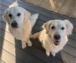 Small #7 Breeder Profile image