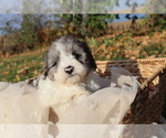 Small #7 Breeder Profile image