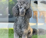 Small #1 Breeder Profile image