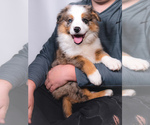 Small #35 Breeder Profile image