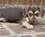 Small #5 Breeder Profile image