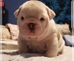 Small #6 Breeder Profile image