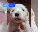 Small #10 Breeder Profile image