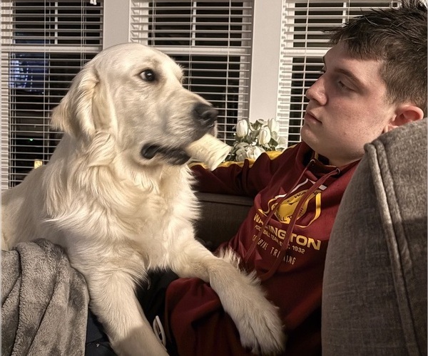 Medium Photo #5  Breeder Profile in SPOTSYLVANIA, VA, USA