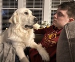 Small #4 Breeder Profile image