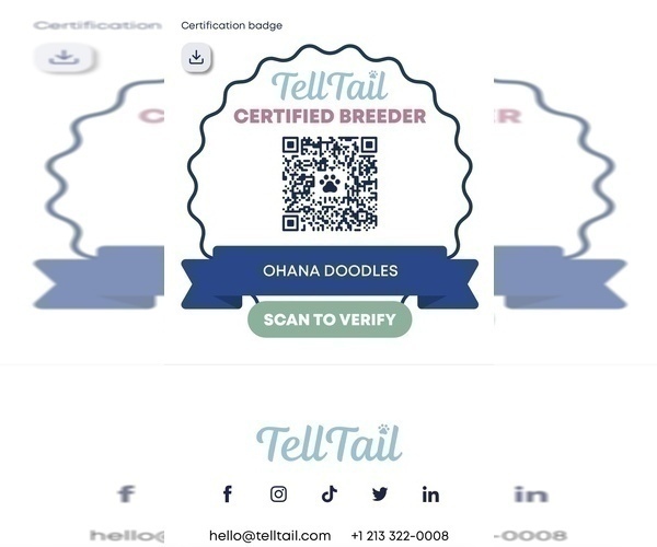 Medium Photo #47  Breeder Profile in HALTOM CITY, TX, USA