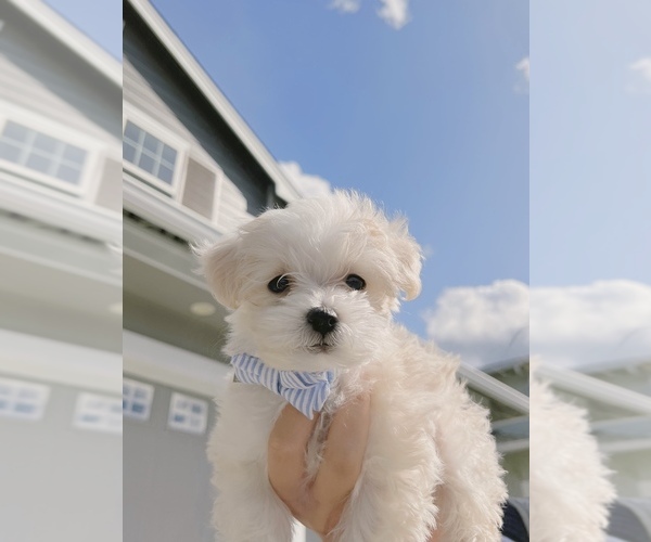 Medium Photo #1  Breeder Profile in EPHRATA, WA, USA