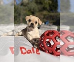 Small #5 Breeder Profile image