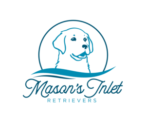 Labrador Retriever Dog Breeder near HAMPSTEAD, NC, USA