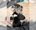 Small #2 Breeder Profile image
