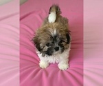 Small #5 Breeder Profile image