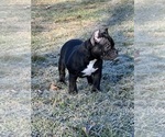 Small #12 Breeder Profile image