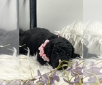 Small #5 Breeder Profile image