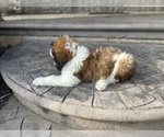 Small #3 Breeder Profile image