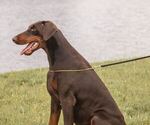 Small #7 Breeder Profile image
