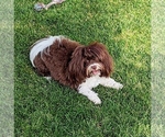 Small #8 Breeder Profile image