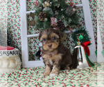 Small #62 Breeder Profile image