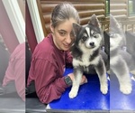 Small #19 Breeder Profile image