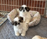Small #10 Breeder Profile image