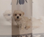 Small #6 Breeder Profile image