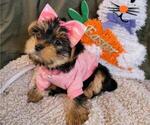 Small #13 Breeder Profile image