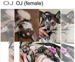Small #6 Breeder Profile image