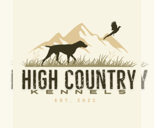 German Shorthaired Pointer Dog Breeder near BOSTIC, NC, USA