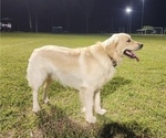 Small #5 Breeder Profile image
